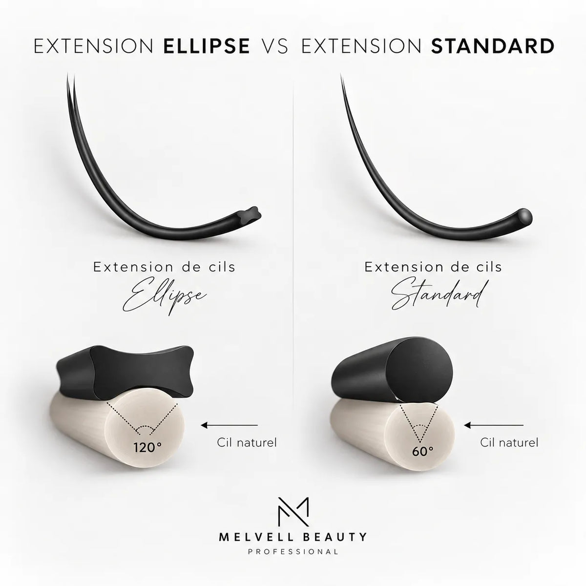 shema extensions de cils