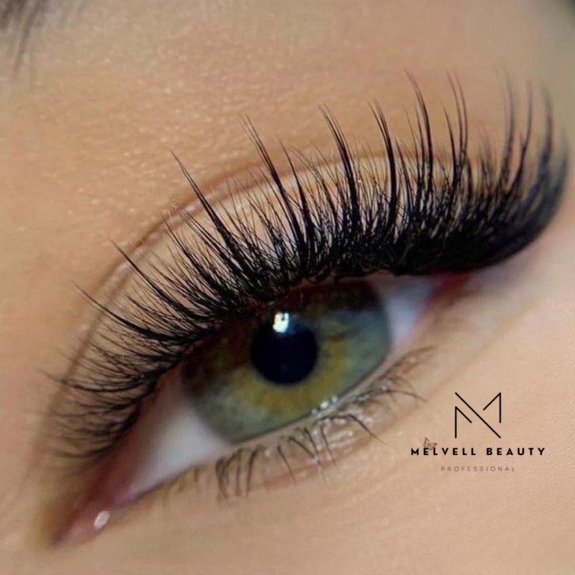 XL 5D WISPY PROMADES - 600 FANS - MELVELL BEAUTY