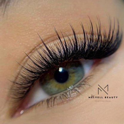 XL 5D WISPY PROMADES - 600 FANS - MELVELL BEAUTY